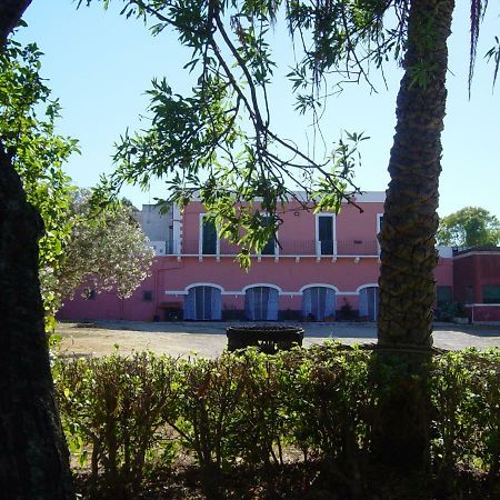 Tenuta Argiano เมซานเย ภายนอก รูปภาพ